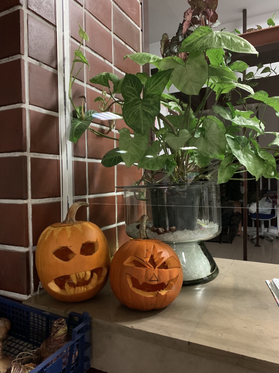 Wycięte dynie 2021
