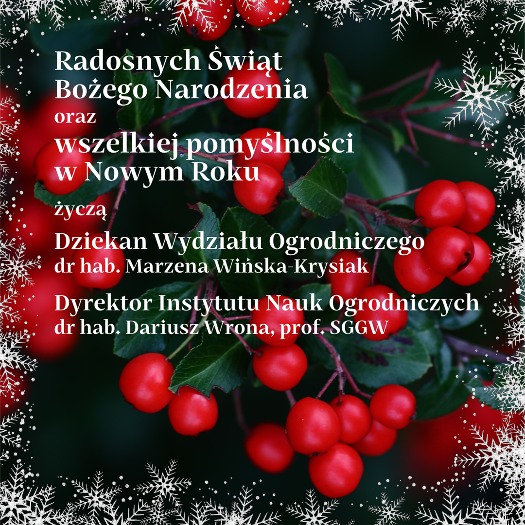 Życzenia z okazji Nowego roku 2022