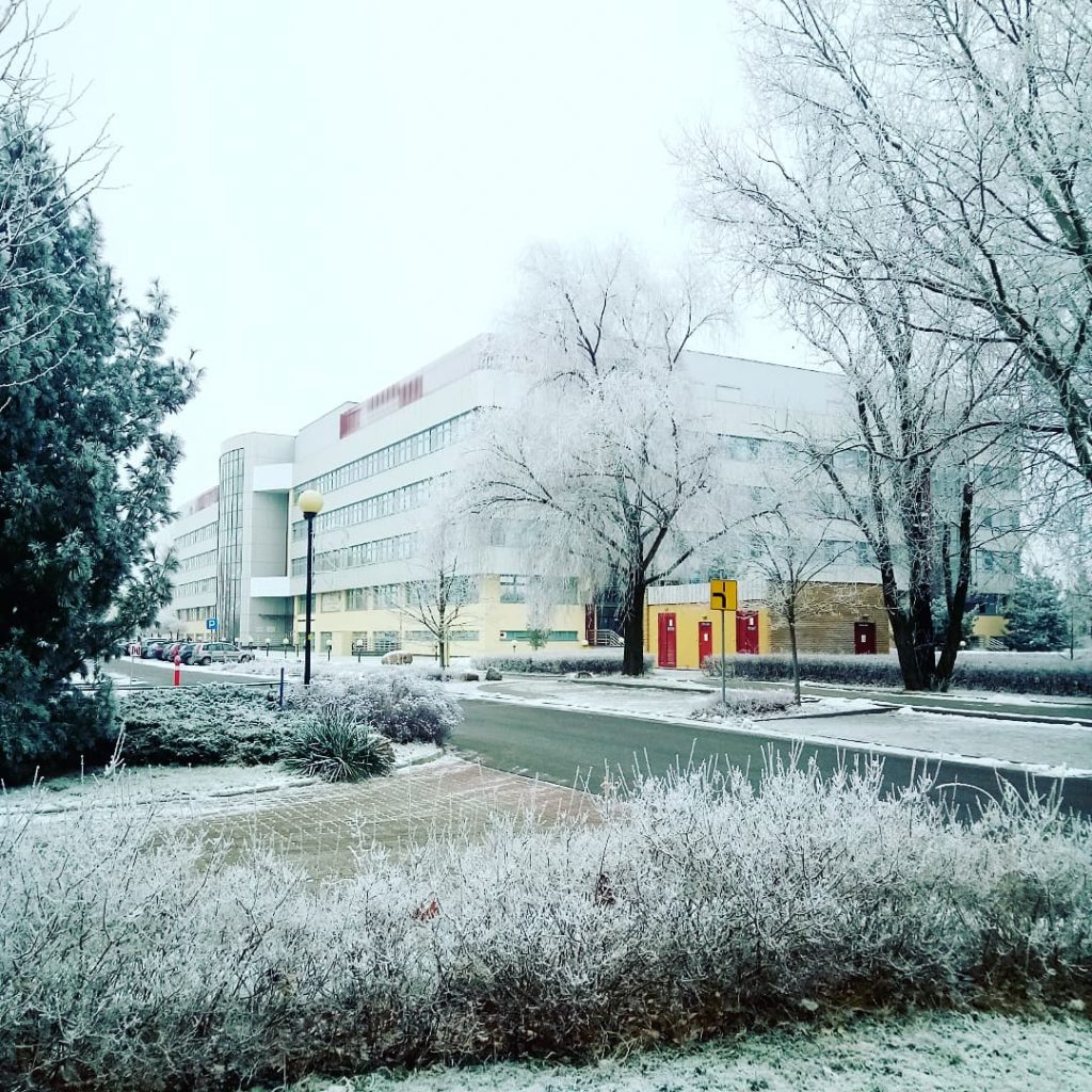 budynek nr 37 zimą