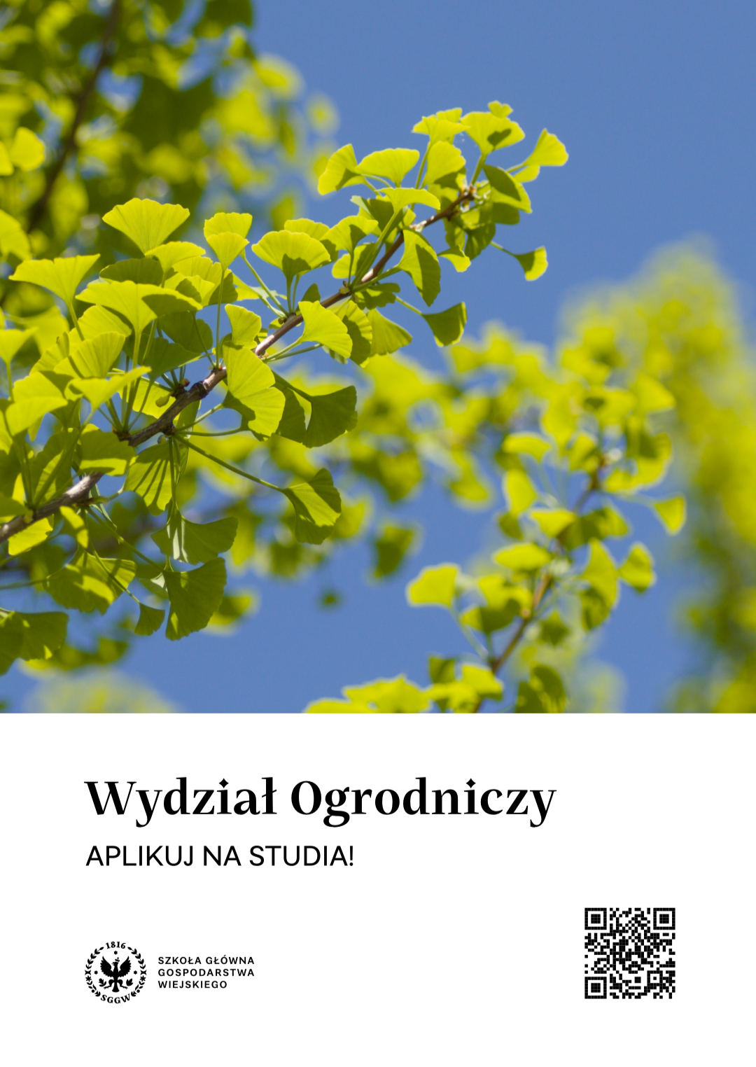 Aplikuj na studia!