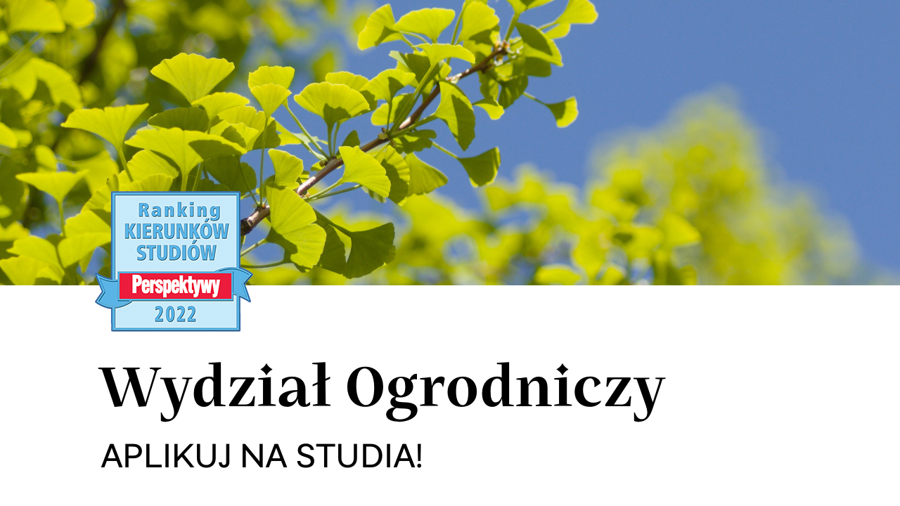Aplikuj na studia!