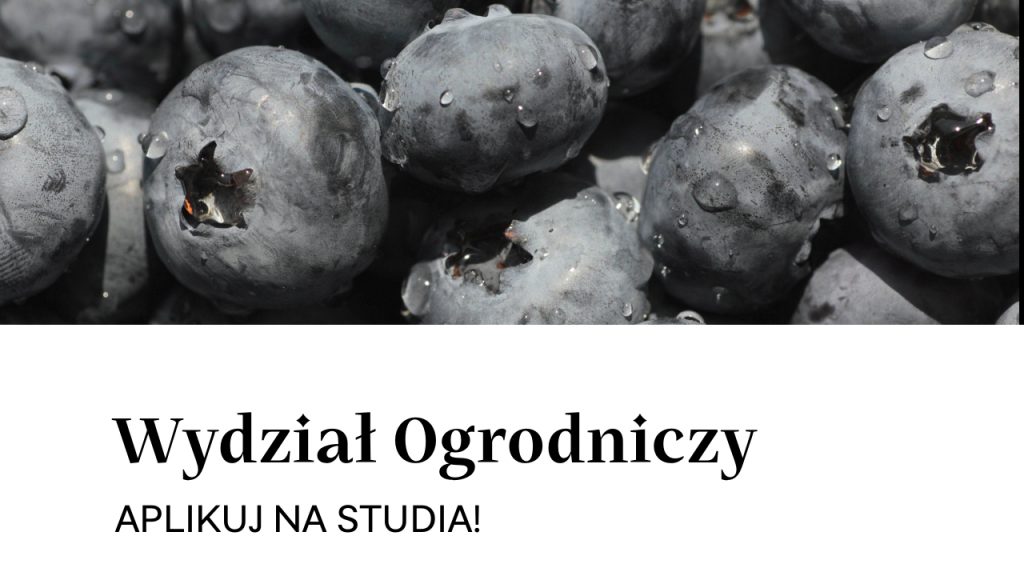 Umiemy w owoce!