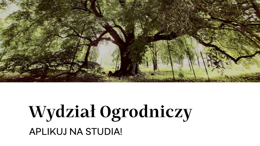 Aplikuj na studia!