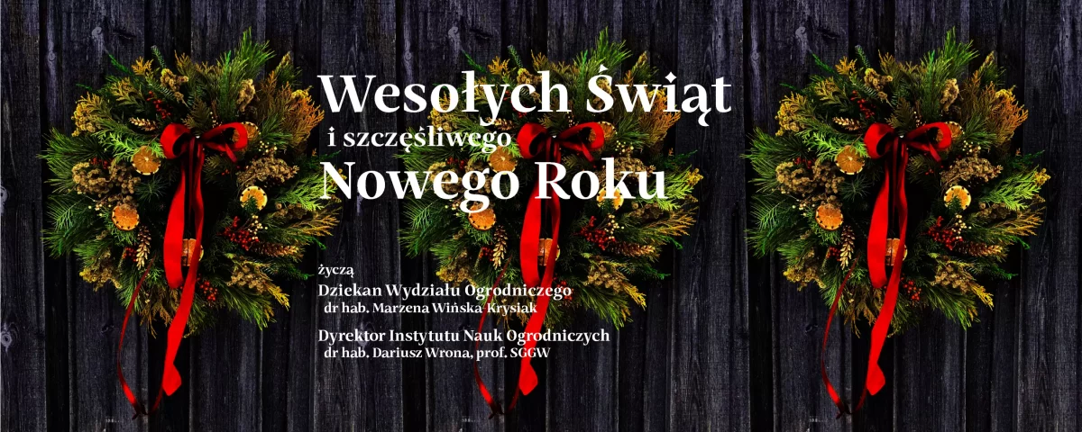 Wesołych Świąt!