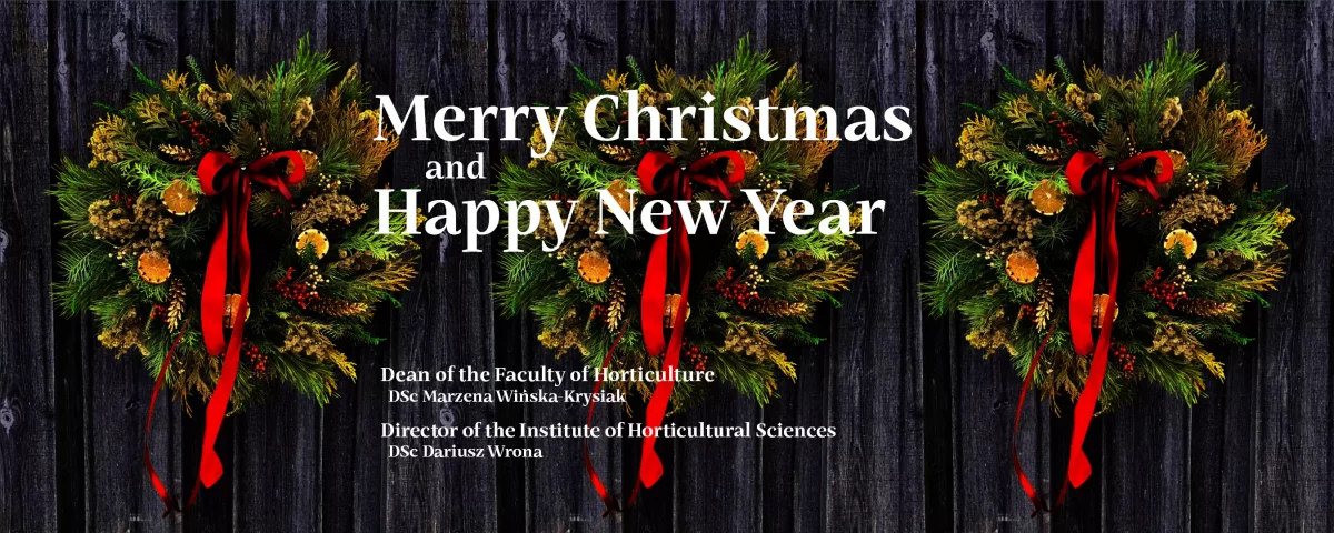 Happy Holidays!