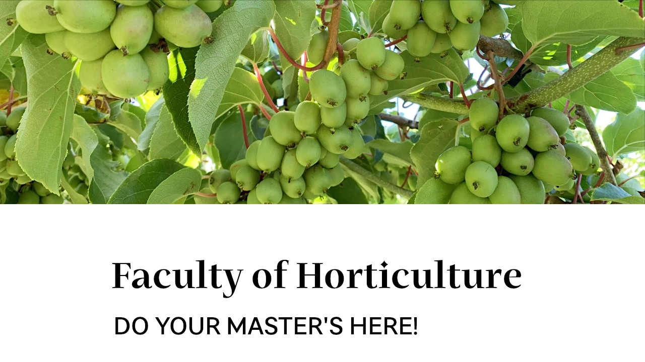 Do your master's here!