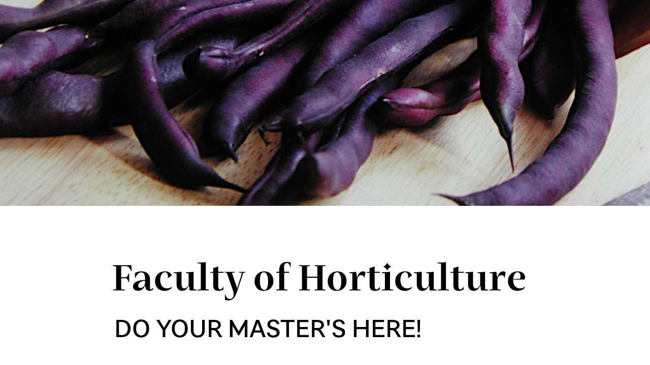 Do your master's here!