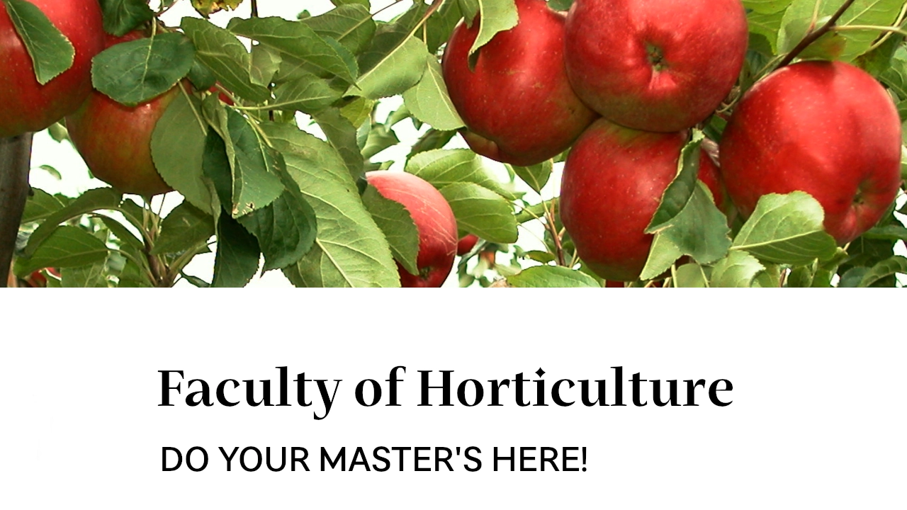 Do your master's here!