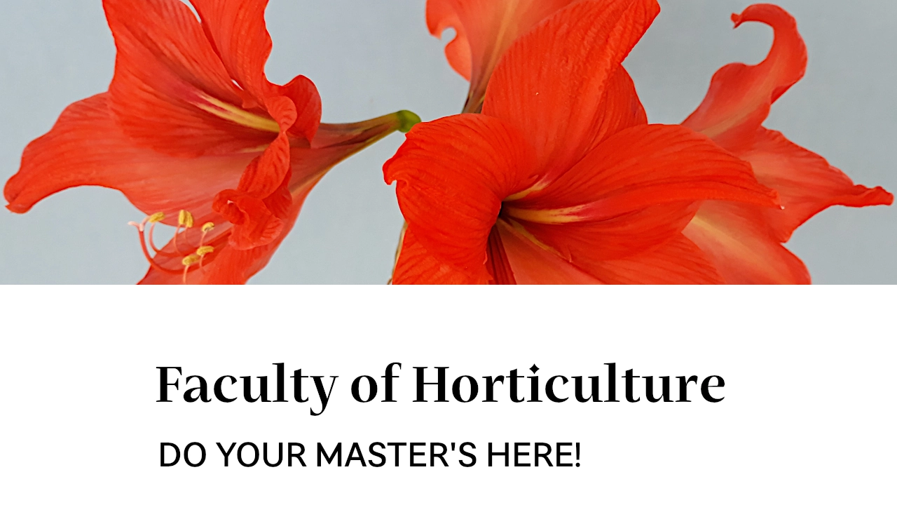 Do your master's here!