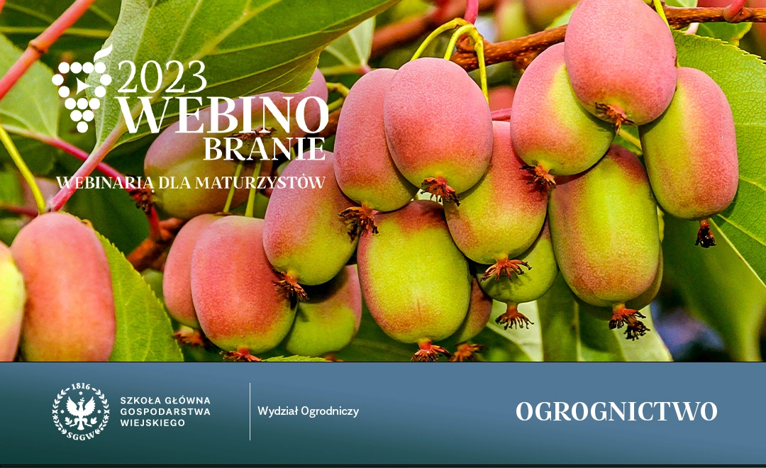 Webinobranie 2023