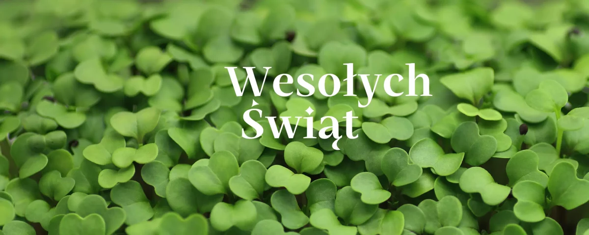 Wesołych świąt