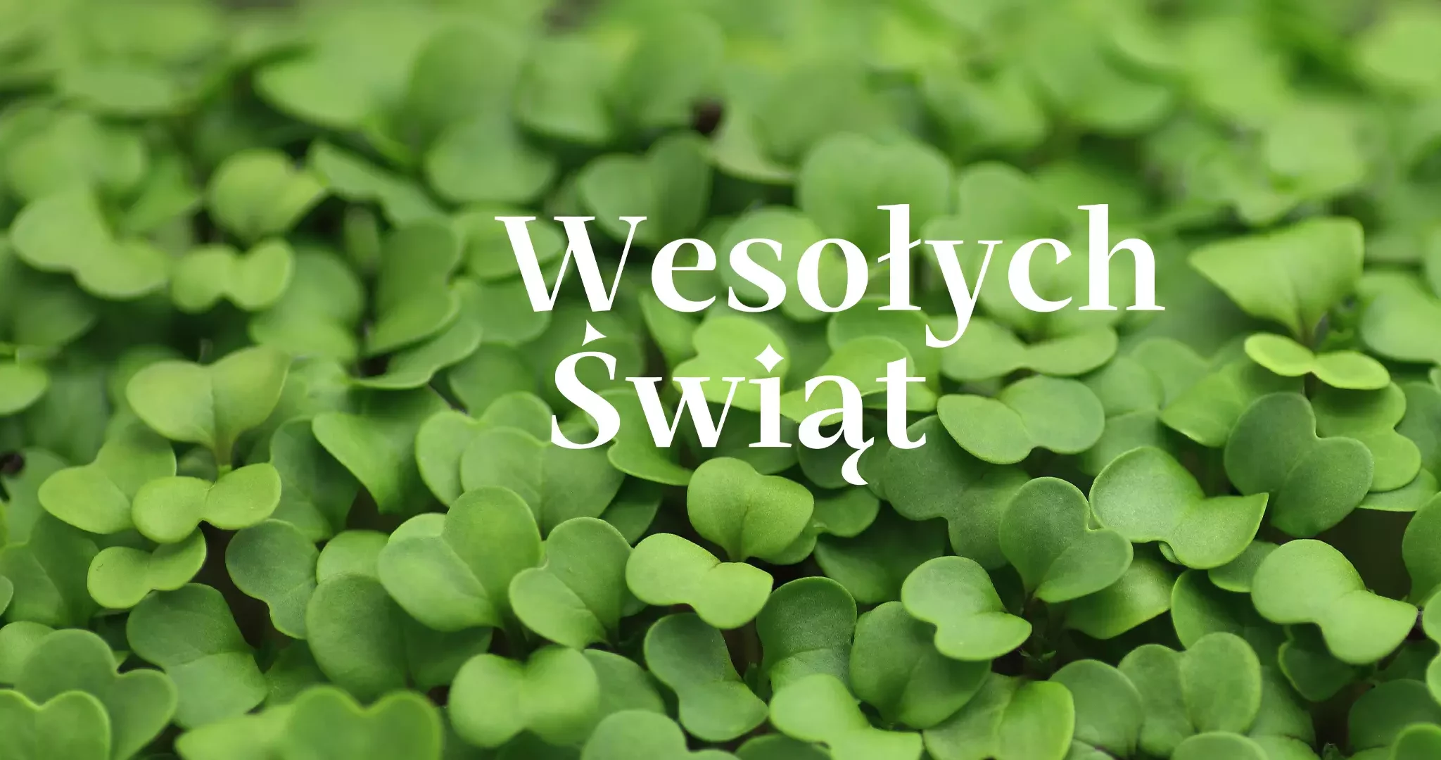 Wesołych świąt