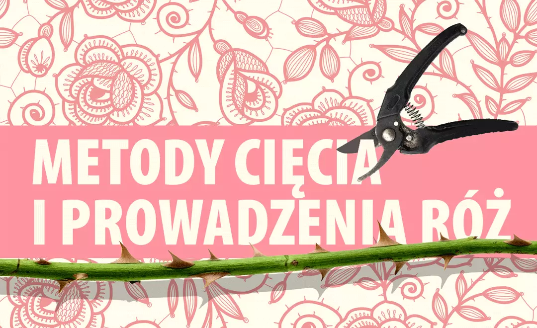 Metody cię­cia i pro­wa­dze­nia róż