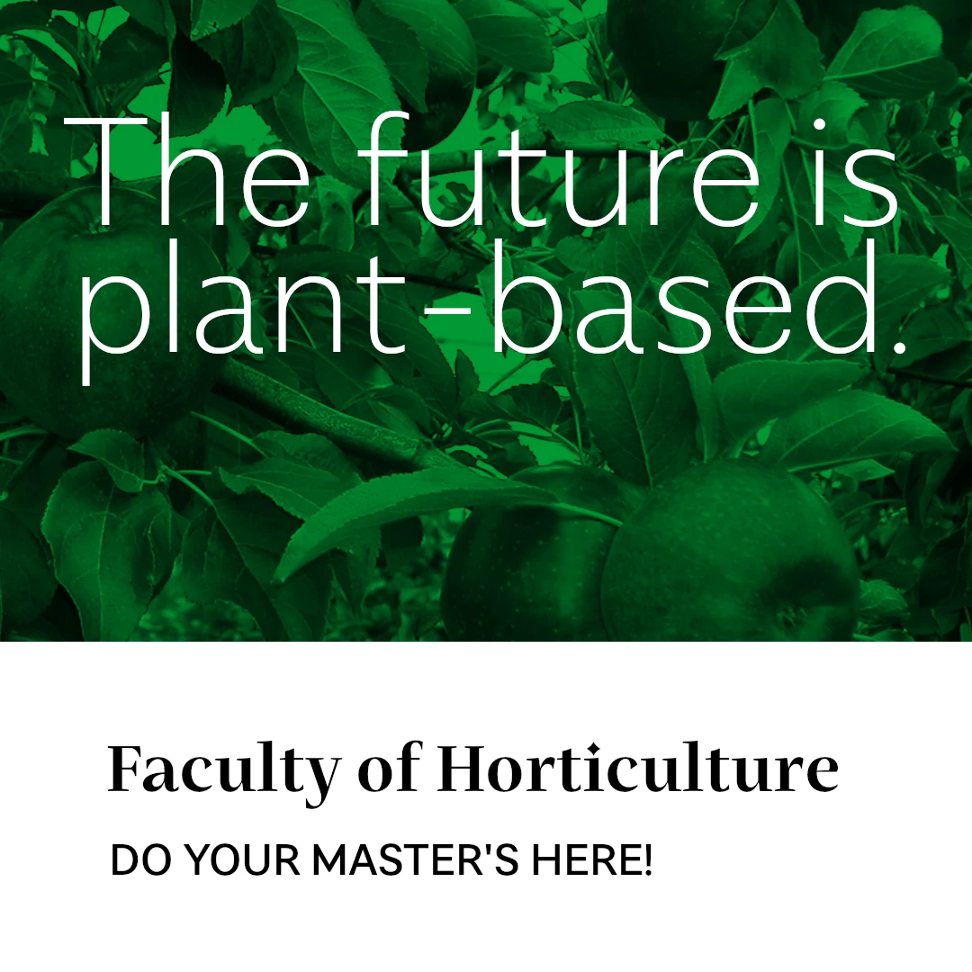 The future is plant-based.