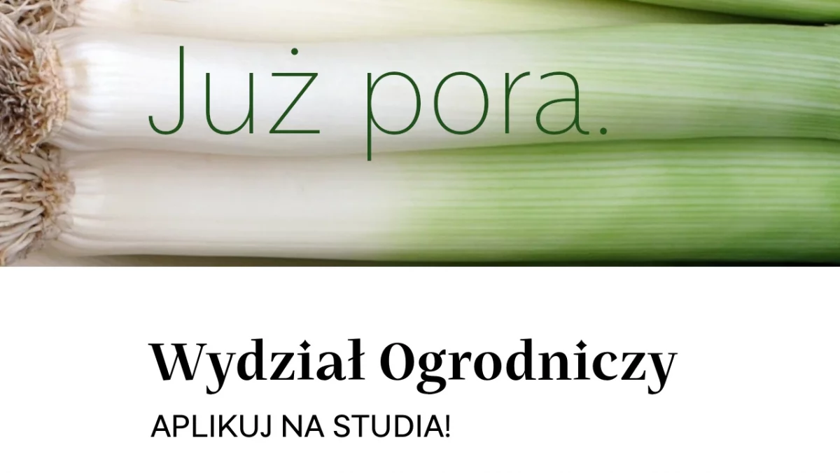 Już pora. Aplikuj na studia!