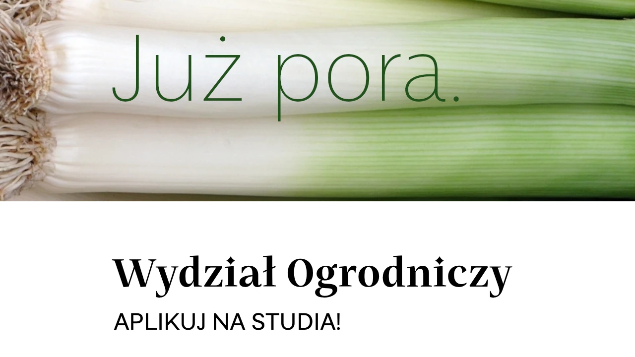 Już pora. Aplikuj na studia!