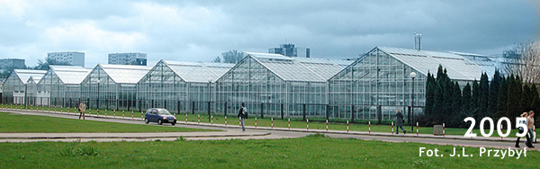 2005 fot. J.L. Przybył