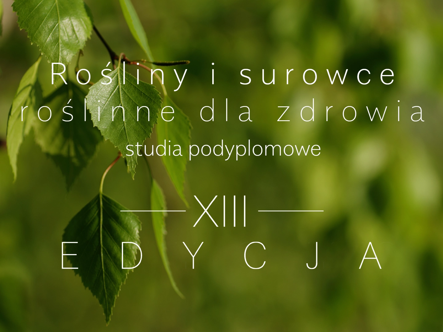 Studia podyplomowe Rośliny i surowce roślinne dla zdrowia XIII edycja