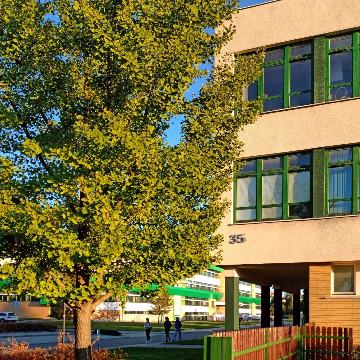 budynek 35 jesienią