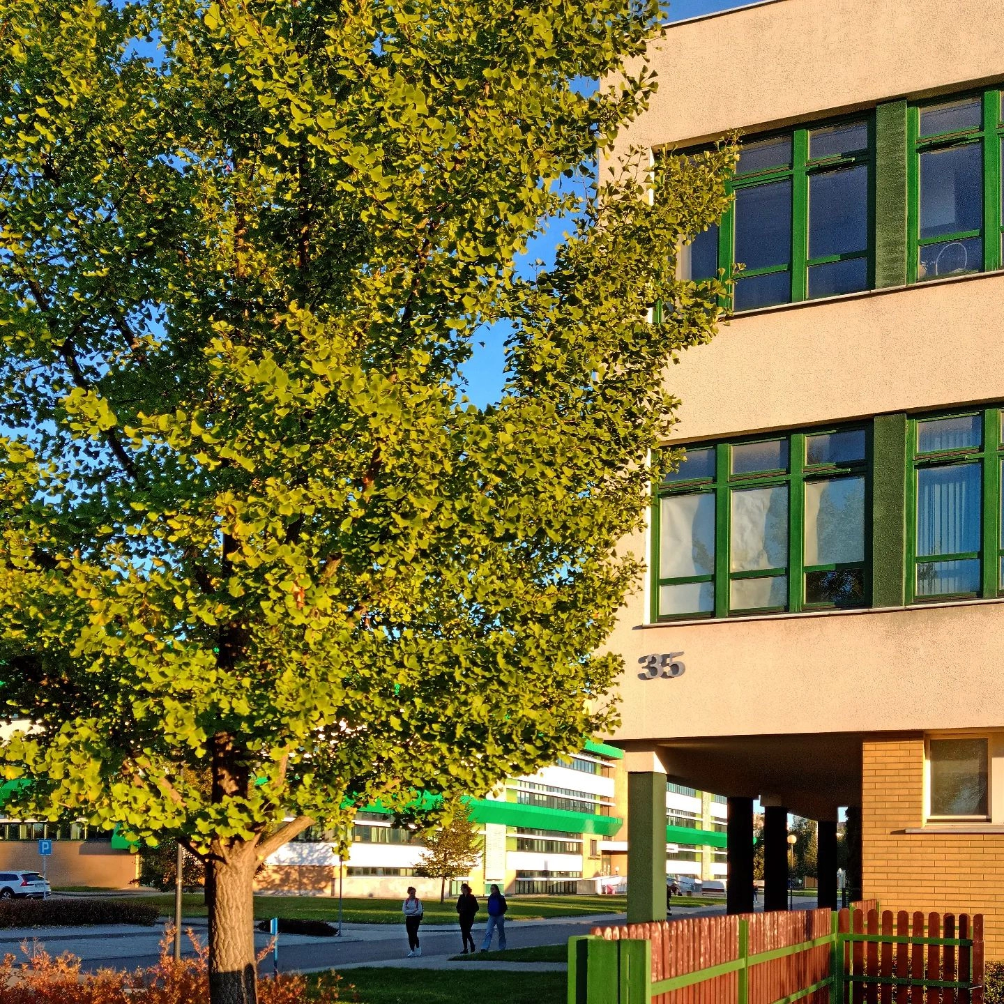 budynek 35 jesienią