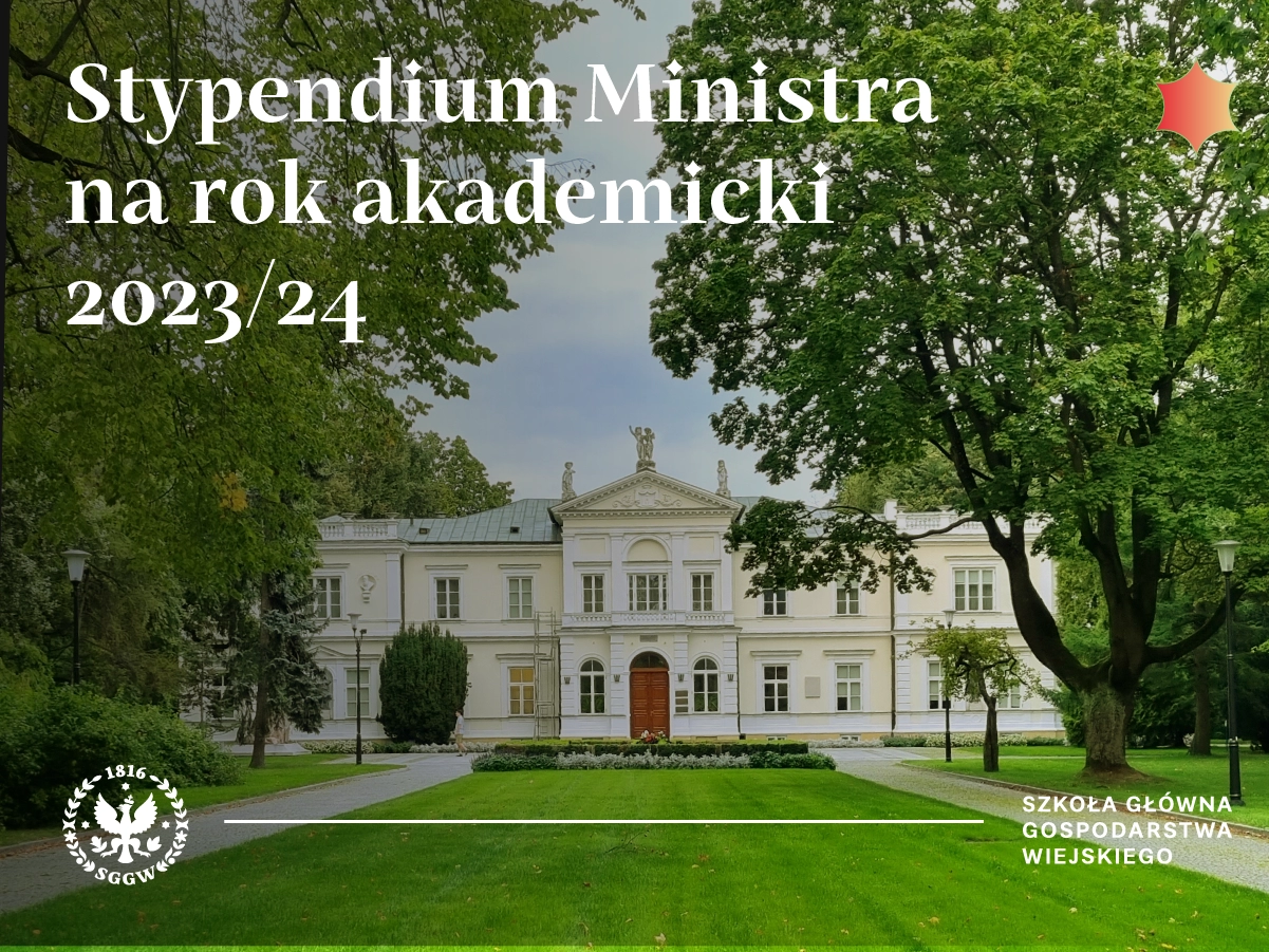 Stypendium MEiN 2023/24