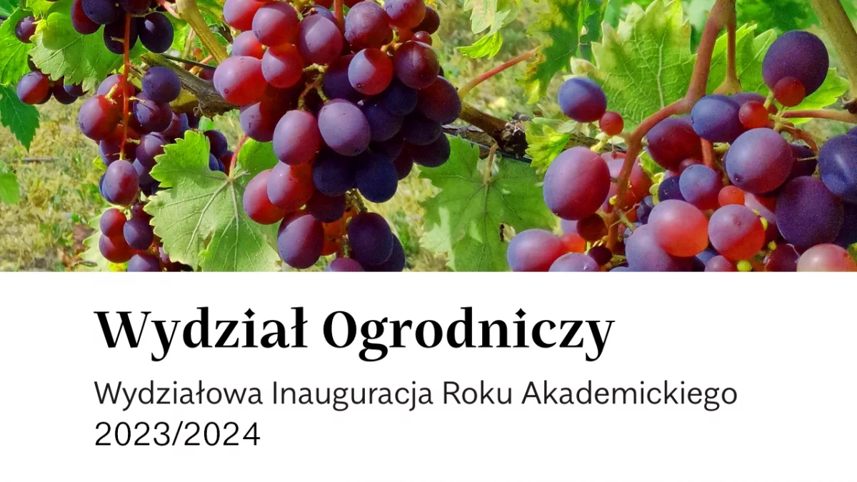 Wydzia­łowa Inau­gu­ra­cja Roku Aka­de­mic­kiego 2023/2024