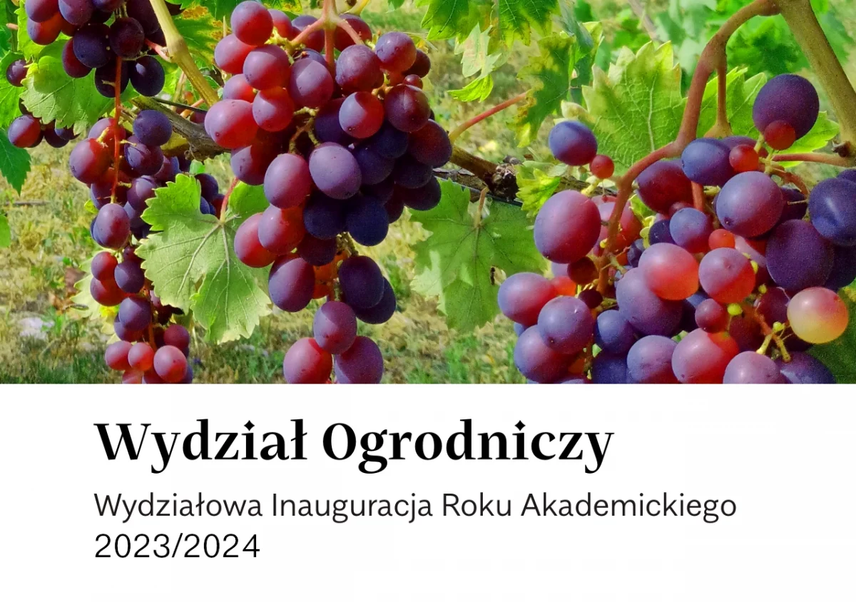 Wydzia­łowa Inau­gu­ra­cja Roku Aka­de­mic­kiego 2023/2024