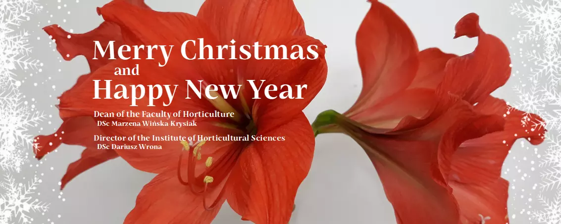 Merry Christmas and Happy New Year 2024