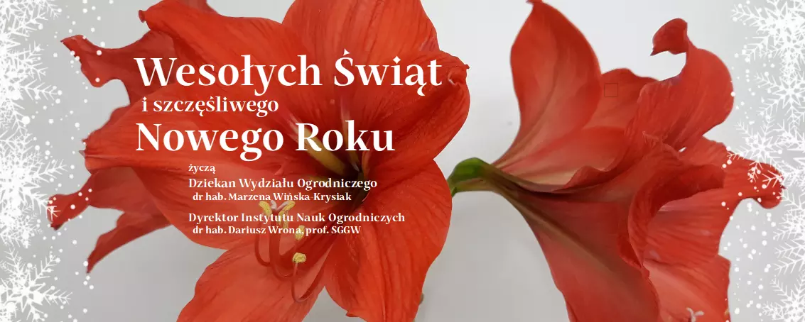 Wesołych Świąt i dobrego Nowego Roku 2024