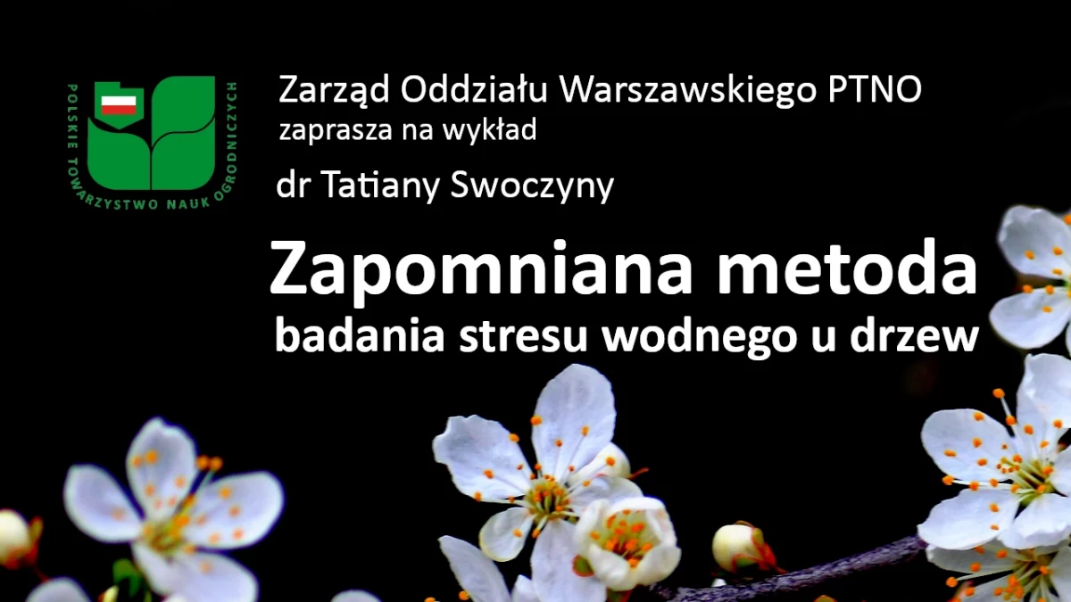 Zapomniana metoda badania stresu wodnego u drzew