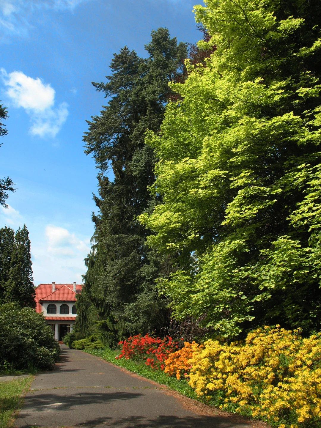 PAN Ogród Botaniczny CZRB w Powsinie