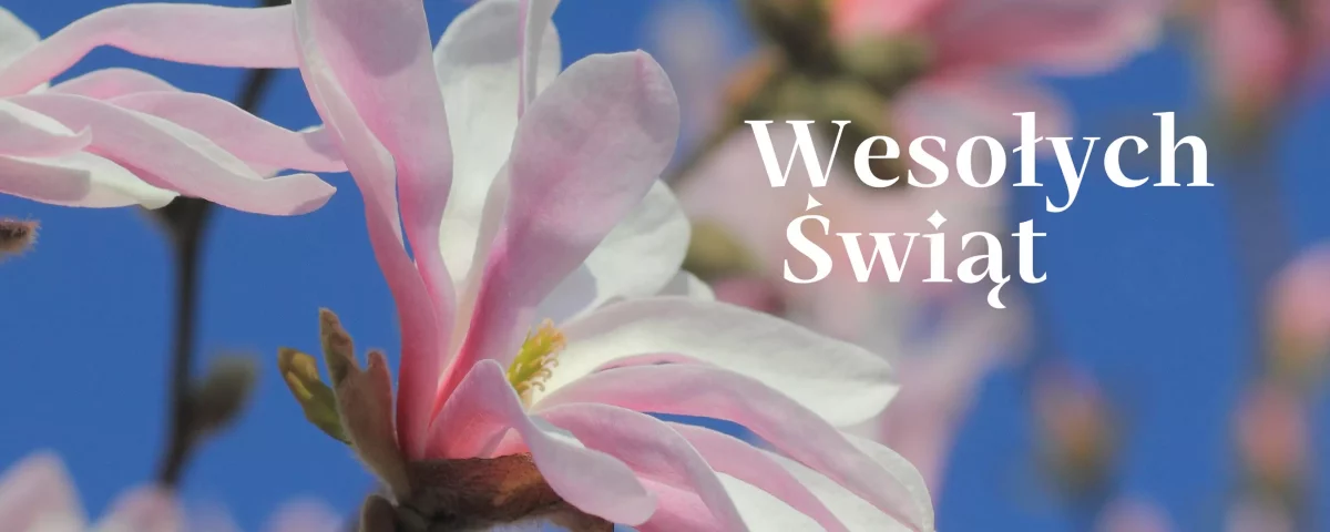 Wesołych Świąt 2024