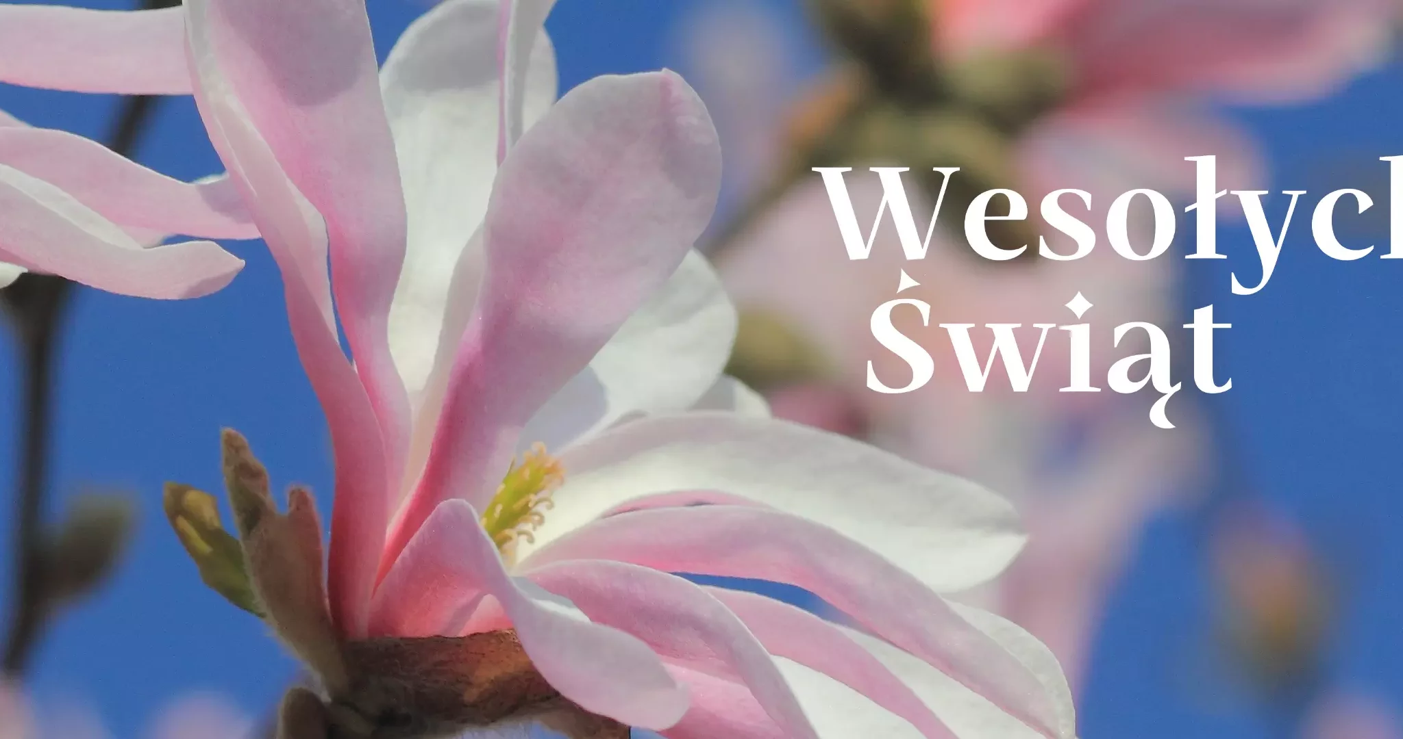 Wesołych Świąt 2024