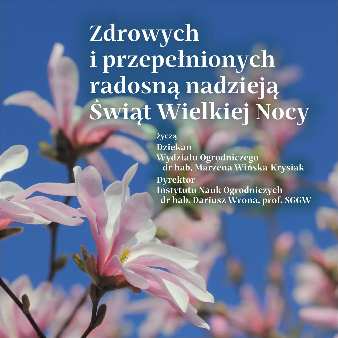 Zdro­wych i prze­peł­nio­nych rado­sną nadzieją Świąt Wiel­kiej Nocy