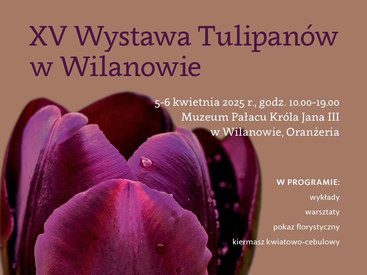 Wystawa Tulipanów Wilanów 2025