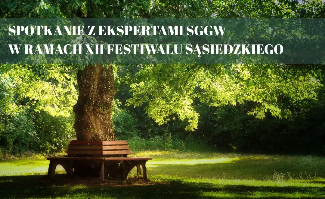 Zielona przestrzeń na soleckich podwórkach zamiast wysp ciepła