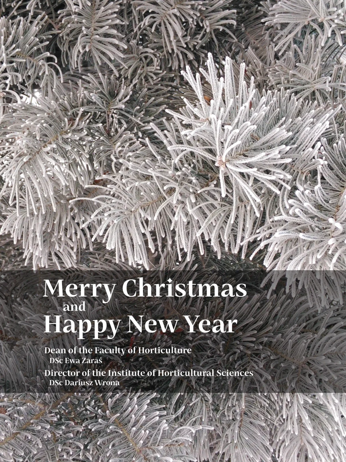 Best wishes for a wonderful Christmas, with the warmth of family and great joy. A Christmas of joy and peace and the hope of a New Year even better than the one we have just had. Wishing you Dean of the Faculty of Horticulture DSc Ewa Zaraś Director of the Institute of Horticultural Sciences DSc Dariusz Wrona A Christmas of joy and peace and the hope of a New Year even better than the one we have just had. Wishing you Dean of the Faculty of Horticulture DSc Ewa Zaraś Director of the Institute of Horticultural Sciences DSc Dariusz Wrona