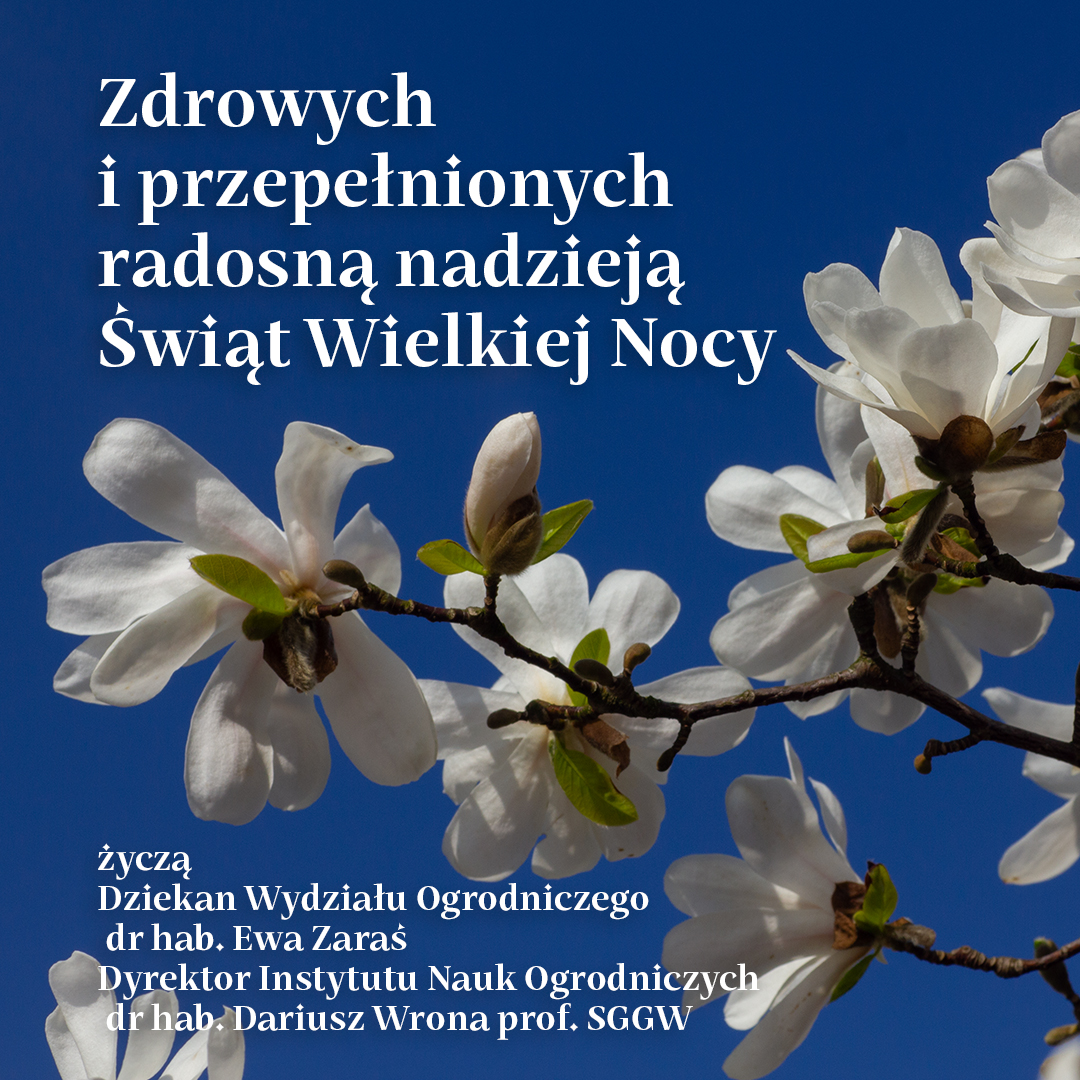 Zdrowych i przepełnionych radosną nadzieją Świąt Wielkiej Nocy